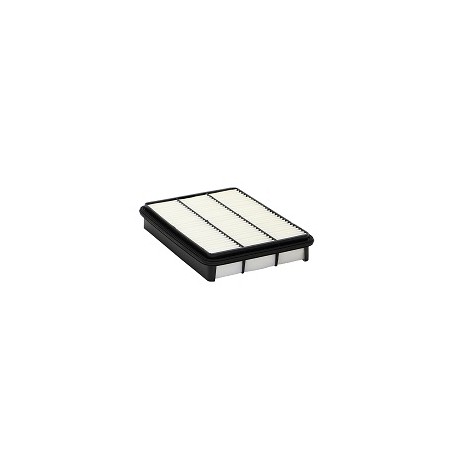 PA7607 Air Filter