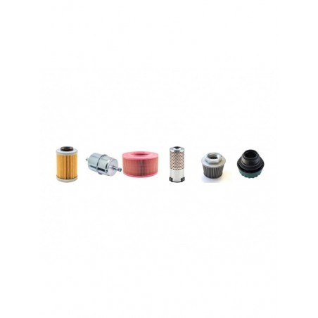 AMMANN AVH 6020/DE Filter Service Kit w/HATZ 1D81S Eng.