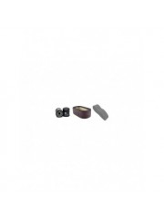 KAWASAKI FD 620 D Filter Service Kit