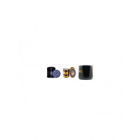 MERLO DM1000 (Dumper) Filter Service Kit w/Lombardini Eng.