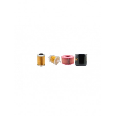 WEBER LS10 Filter Service Kit w/Hatz 1D80 Eng.