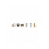 CASE Poclain 580F Filter Kit