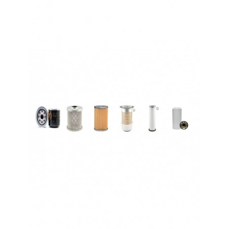 IHI 45J Filter Service Kit - double air