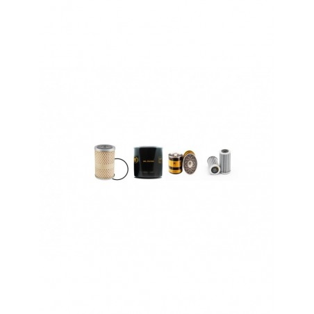 LANDINI 5500(C/CL/CS) Filter Service Kit