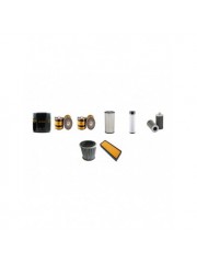 LANDINI BLIZZARD 95 Filter Service Kit w/Perkins AT4.236C Eng.