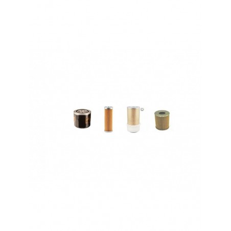 RASANT RASEN-BUGGY Filter Service Kit w/Kubota V 1200 Eng.