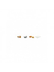 HYUNDAI 4X4 SANTA FE III 2.2 CRDI/4WD Filter Service Kit      YR  09.12- 197CH/145KW DM