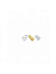 AUDI S 6 PLUS 4.2 V8 QUATTRO Filter Service Kit w/ AHK Eng.   YR  04.96-07.97 326 CH