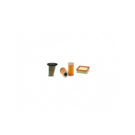LOMBARDINI 15LD225 Filter Service Kit