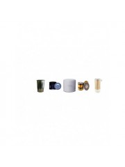 LOMBARDINI 5 LD 825-3 L Filter Service Kit