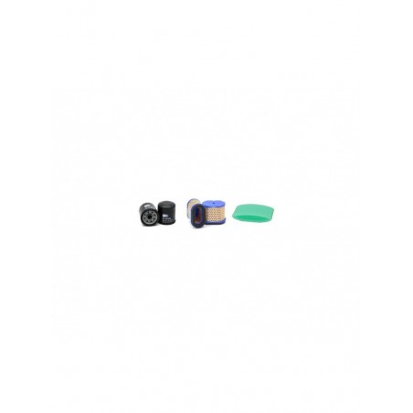 VIKING Mower Filter Service Kit w/Briggs & Stratton 122672-0107 Eng.