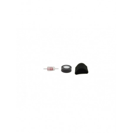 WEBER SRV 70 Filter Service Kit w/Robin EY12 Eng.