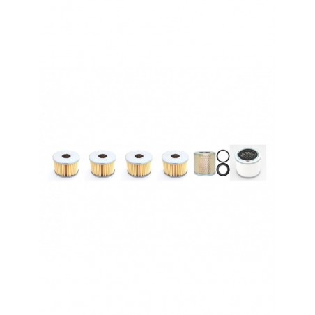 RIETSCHLE CLFD 141 Filter Service Kit
