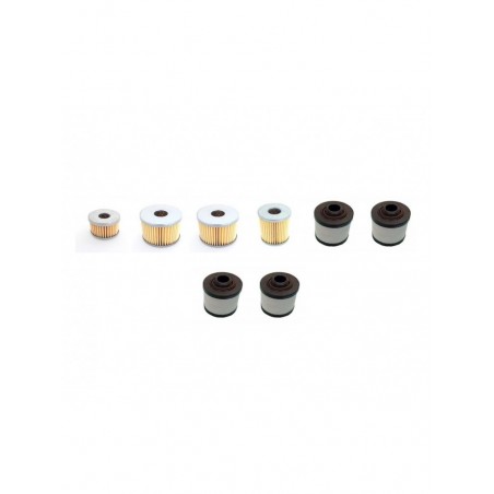 RIETSCHLE CLFE 81 Filter Service Kit      YR  2001-