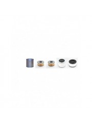 RIETSCHLE CLFEH 1001 Filter Service Kit