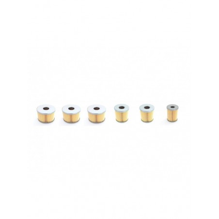 RIETSCHLE CLFT 101 Filter Service Kit