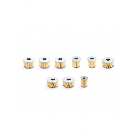 RIETSCHLE CLFT 101 DV Filter Service Kit