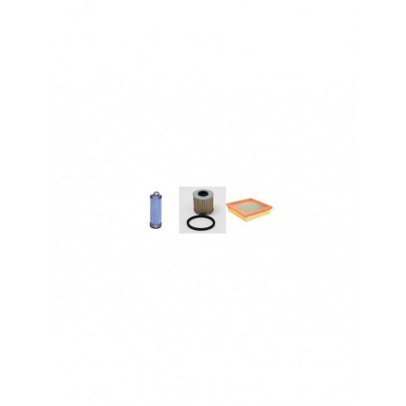 ENDRESS ES 1006 DLS Filter Service Kit w/Lombardini 25LD330 2B1 Eng.