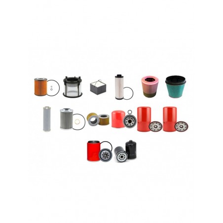LIEBHERR LTM1130/5.1 Filter Service Kit w/LIEBHERR Eng.