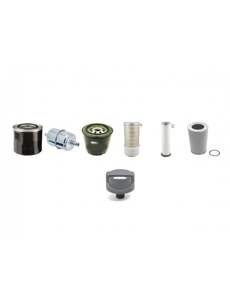 NEUSON 5501RD Filter Service Kit w/Yanmar 3TN100TE-NS Eng.