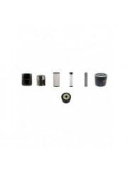 THWAITES MACH 364 Filter Service Kit w/Perkins Eng.