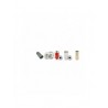 CHALLENGER 660 B Filter Service Kit w/AGCO CITIUS 84CTA Eng.