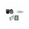 HONDA 2417 Filter Service Kit w/Honda Gcv530 Eng.