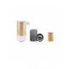 Iseki TS4370 Filter Service Kit Air, Oil, Fuel Filters