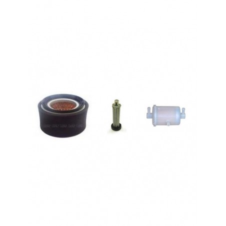 LOMBARDINI 15LD315 Filter Service Kit