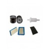 HONDA-ENGINES GCV 530 Filter Service Kit