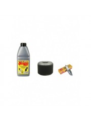 HONDA-ENGINES GX 240 Filter Service Kit