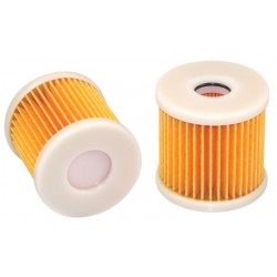 Hifi BE4056 PETROL FILTER