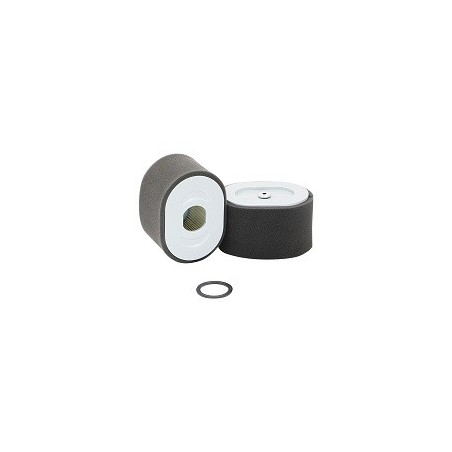 SF Filter SL87029 engine air filter