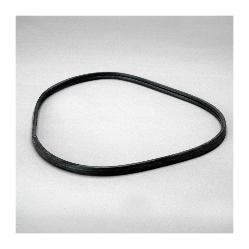 Donaldson P617476 GASKET