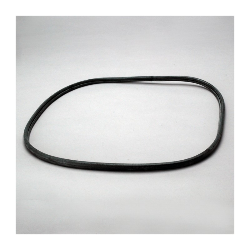 Donaldson P617475 GASKET