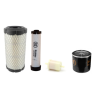 Kubota RTV900 Utility Vehicle Filter Kit