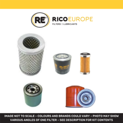 SHIBAURA S33 H Filter Service Kit | RICO Europe