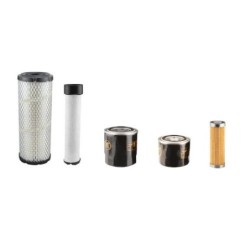 Filter Kit for Hyundai R25Z-9Ak Air Oil Fuel Filters with Kubota D1305 Engine YR 2016-