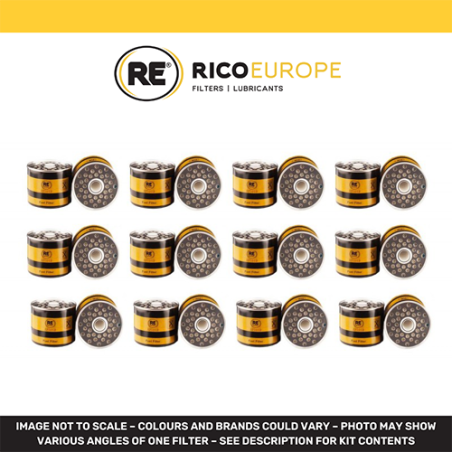 12 x Fuel Filters Cav Lucas 7111-296 / 522 / 566