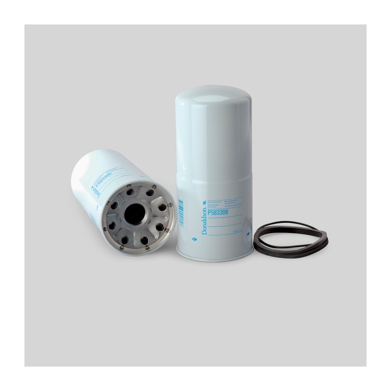 P583308 BULK FUEL FILTER | RICO Europe