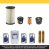 ISEKI SXG 323, 326 FILTER AND LUBRICANT KIT