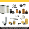 CASE CX245DSR Filter Kit
