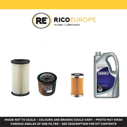 Iseki SXG323, SXG326 Engine Filters & Lubricant Kit | RICO Europe