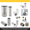 Develon DX 300 LC-7 Filter Service Kit w/Develon DL08V | RICO Europe