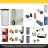 Develon DL 420-7 Filter Service Kit w/Scania DC13 eng. 2022- | RICO Europe