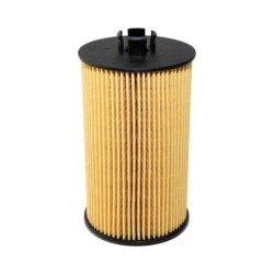 RL4074 Oil Filter Element