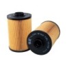 RF1100 Fuel Filter