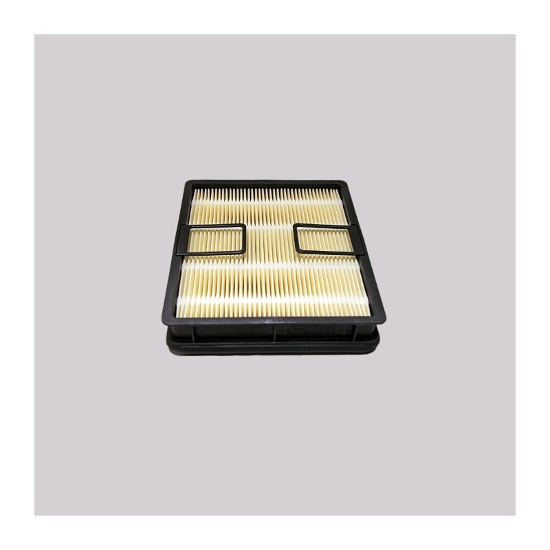 Donaldson P638062 AIR FILTER, SAFETY