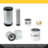 Kubota RTV X-1100 Filter Kit