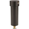 FFC-110-06 Racor CNG Filters